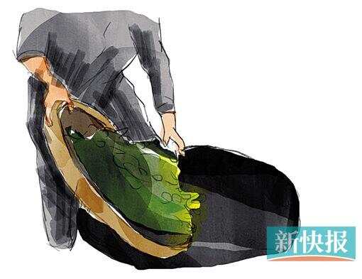 韶关产茶历史源远流长 车八岭或有上千年野生