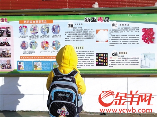 1月11日，陆丰博社村博社小学里，一名小学生在学校的禁毒宣传栏前