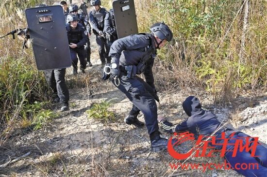 山地围捕训练难度近似实战