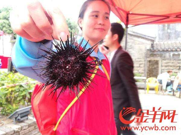 大鹏十大美食出炉啦！哪道才是你最爱的“菜”