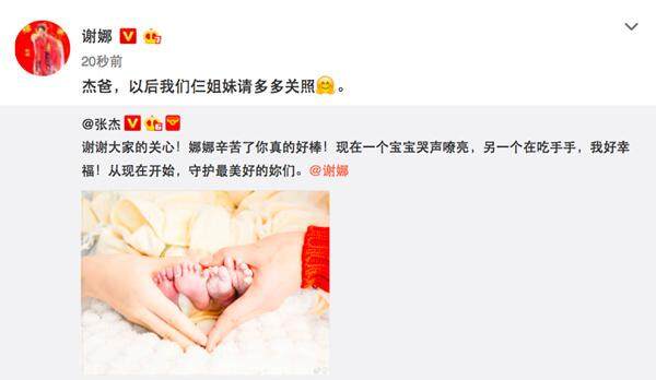 谢娜张杰喜获双胞胎女儿！晒全家福爱意满满