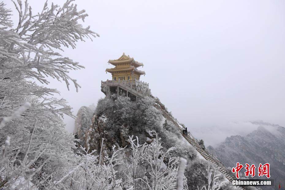 河南老君山雪后似水墨 民众登山祈福纳祥过大年