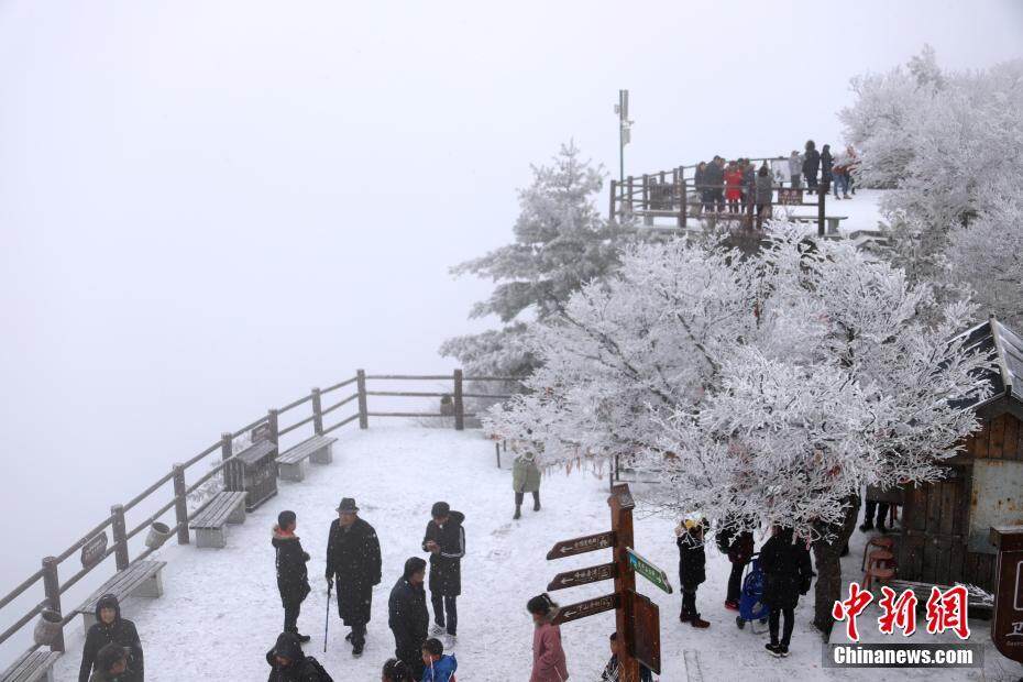 河南老君山雪后似水墨 民众登山祈福纳祥过大年