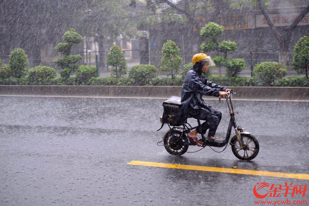 4月12日中午,广州城区下起大暴雨,外卖小哥依然如蜜蜂般在雨线中穿行,为街坊送来热辣的饭菜,辛苦了,街坊们记得给小哥们点个赞,说声:“谢谢”! 金羊网记者 陈秋明 摄