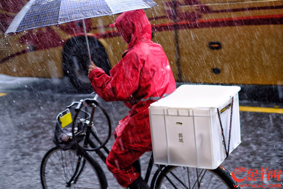 4月12日中午,广州城区下起大暴雨,外卖小哥依然如蜜蜂般在雨线中穿行,为街坊送来热辣的饭菜,辛苦了,街坊们记得给小哥们点个赞,说声:“谢谢”! 金羊网记者 陈秋明 摄