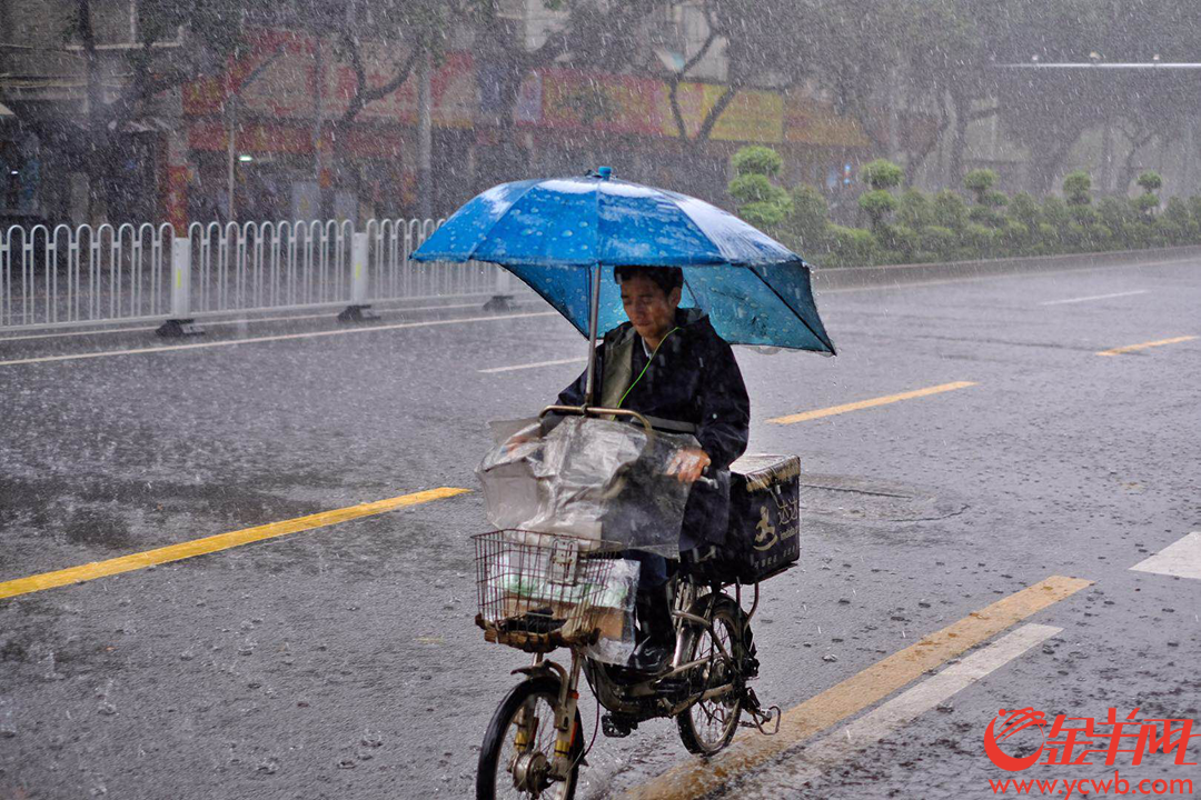 4月12日中午,广州城区下起大暴雨,外卖小哥依然如蜜蜂般在雨线中穿行,为街坊送来热辣的饭菜,辛苦了,街坊们记得给小哥们点个赞,说声:“谢谢”! 金羊网记者 陈秋明 摄