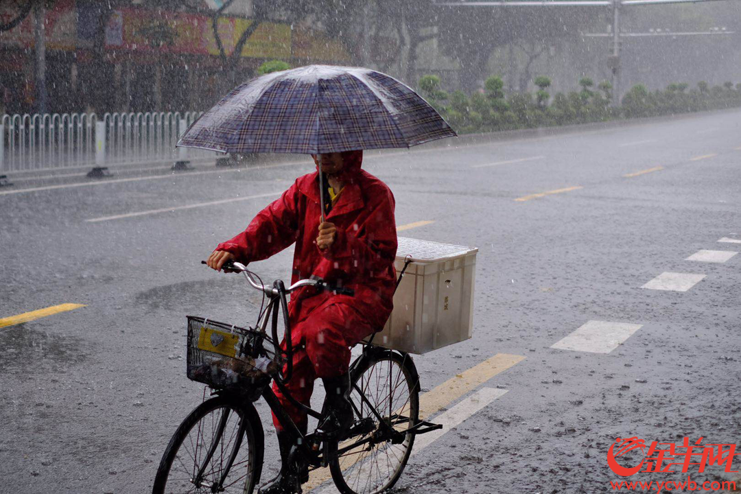 4月12日中午,广州城区下起大暴雨,外卖小哥依然如蜜蜂般在雨线中穿行,为街坊送来热辣的饭菜,辛苦了,街坊们记得给小哥们点个赞,说声:“谢谢”! 金羊网记者 陈秋明 摄