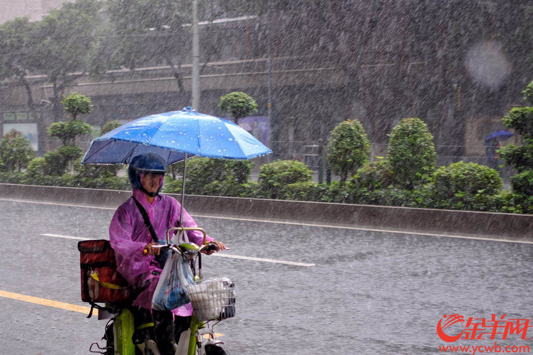 4月12日中午,广州城区下起大暴雨,外卖小哥依然如蜜蜂般在雨线中穿行,为街坊送来热辣的饭菜,辛苦了,街坊们记得给小哥们点个赞,说声:“谢谢”! 金羊网记者 陈秋明 摄