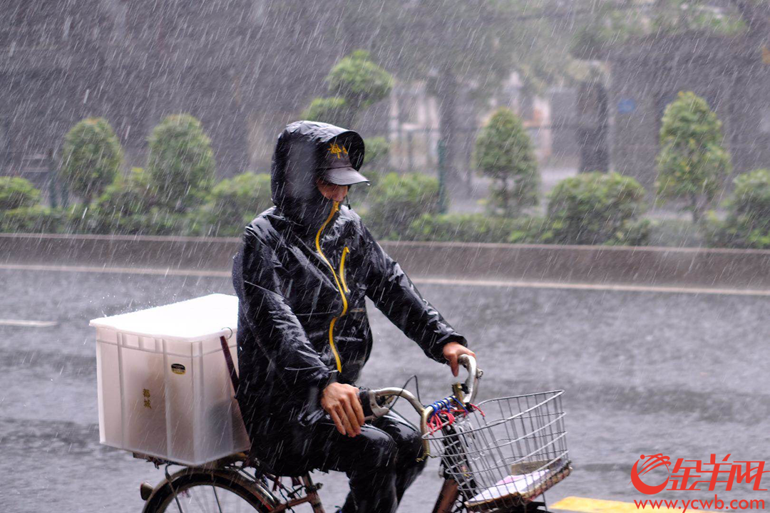 4月12日中午,广州城区下起大暴雨,外卖小哥依然如蜜蜂般在雨线中穿行,为街坊送来热辣的饭菜,辛苦了,街坊们记得给小哥们点个赞,说声:“谢谢”! 金羊网记者 陈秋明 摄