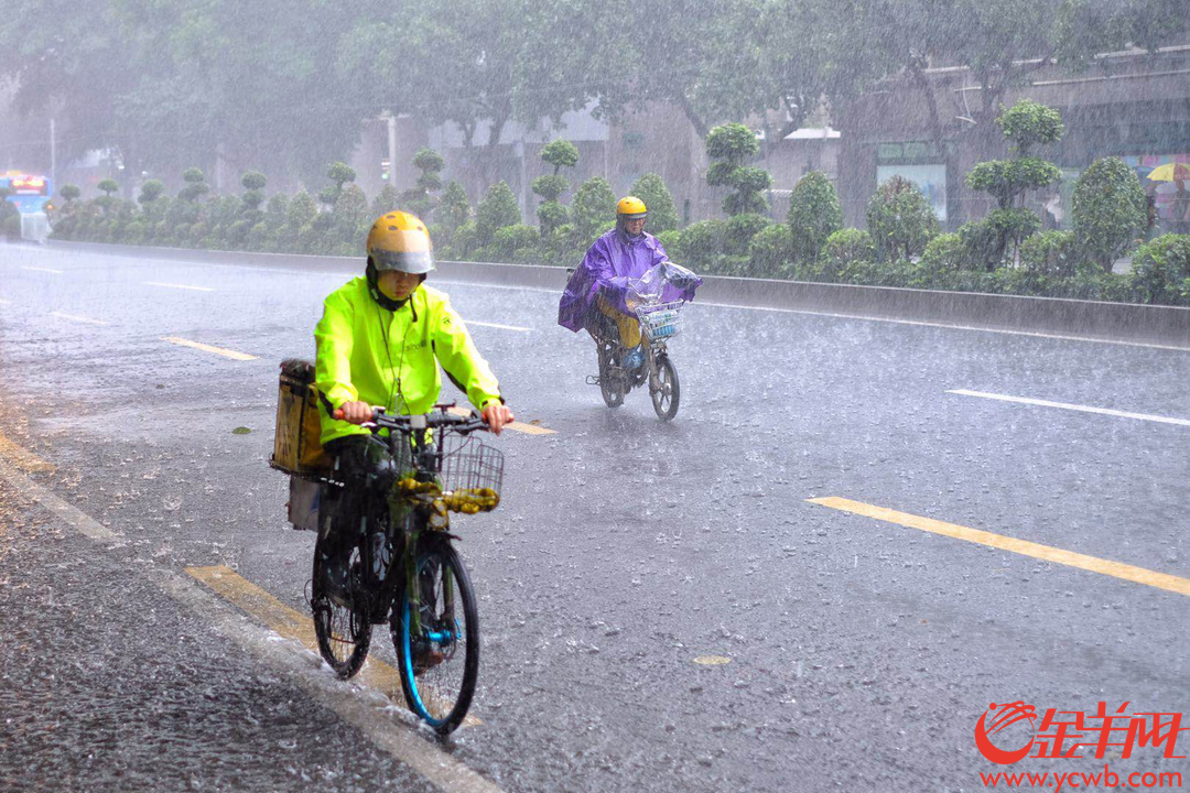 4月12日中午,广州城区下起大暴雨,外卖小哥依然如蜜蜂般在雨线中穿行,为街坊送来热辣的饭菜,辛苦了,街坊们记得给小哥们点个赞,说声:“谢谢”! 金羊网记者 陈秋明 摄