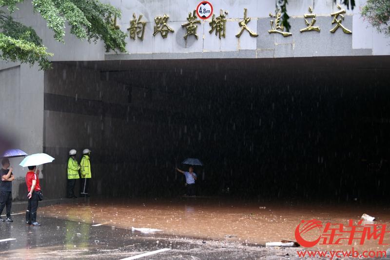 2019年5月28日清晨,广州大雨,图为科韵路黄埔大道立交附近的雨中道路