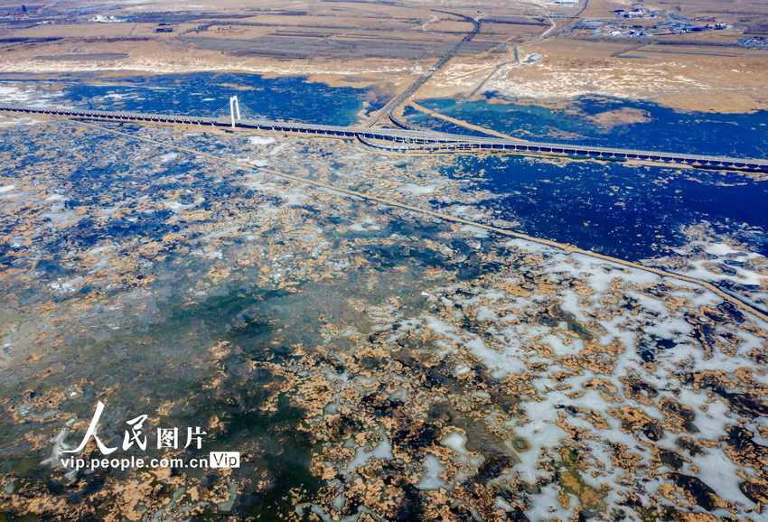 航拍大庆龙凤湿地景美如画