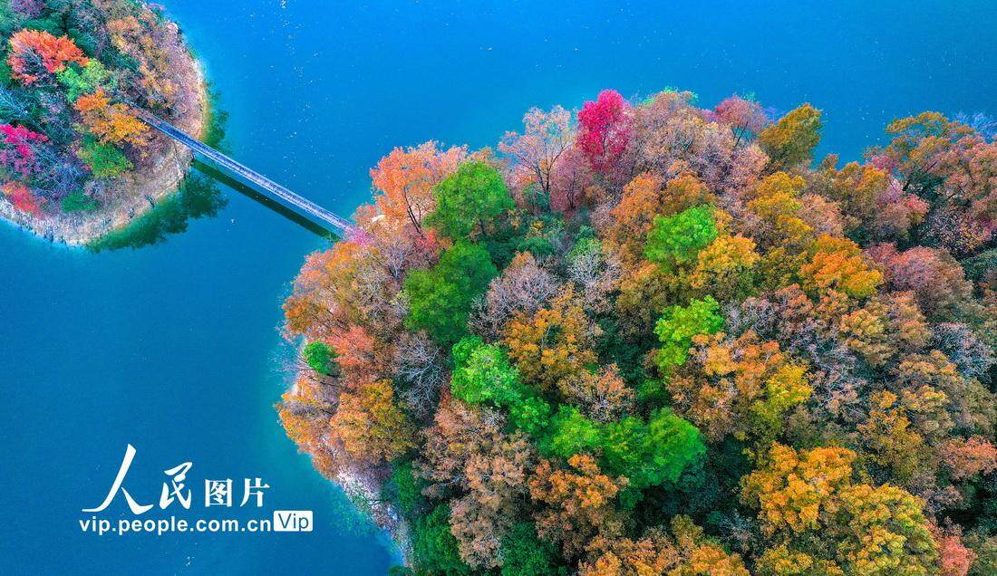 浙江省杭州市淳安县红叶湾层林尽染,空中俯瞰,色彩斑斓的岛屿镶嵌在