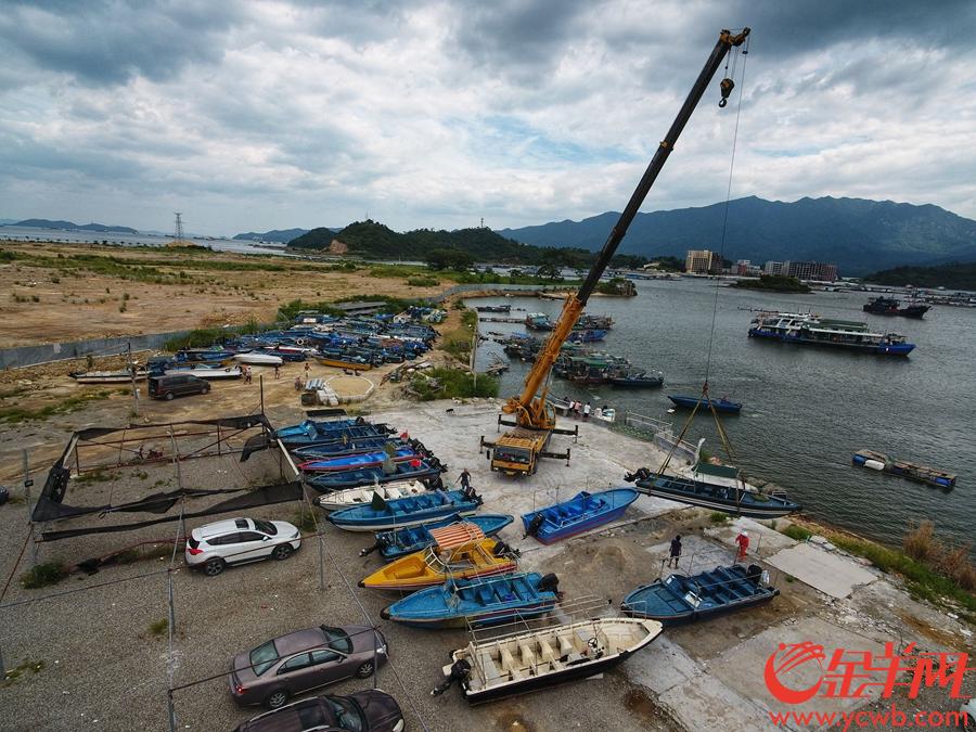 小桂码头,吊车陆续将快艇,渔船吊上岸躲避台风王磊摄