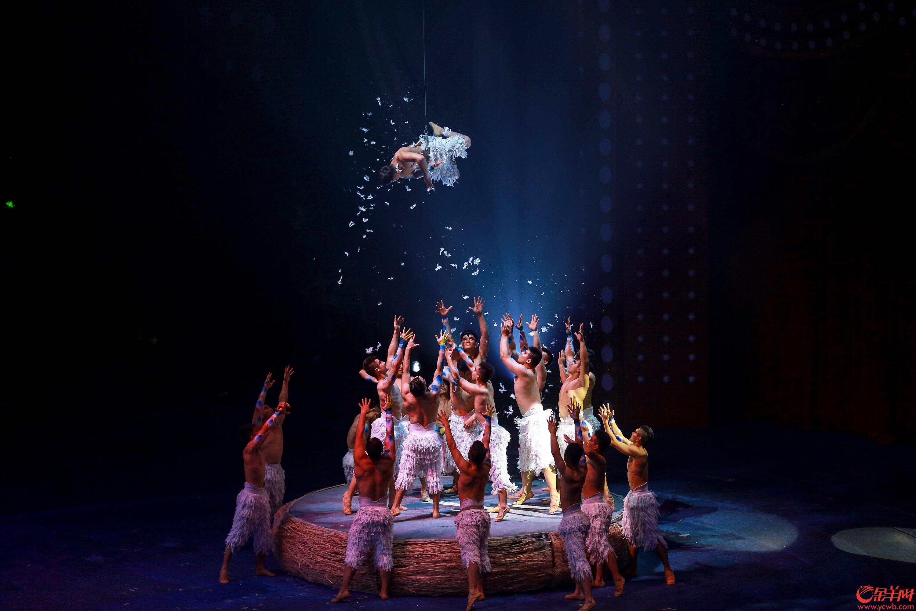 珠海化身欢乐海洋中国国际马戏节大幕开启