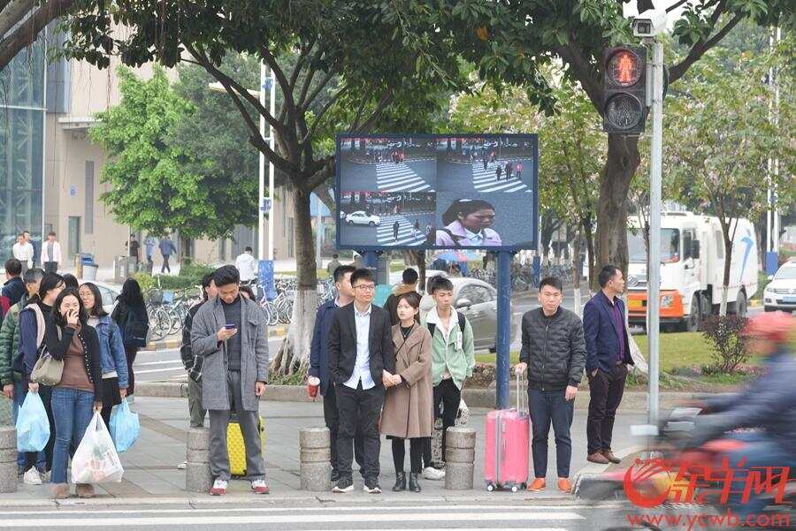 据路人介绍该设备昨天2月25正式启用后,闯红灯的人900_601