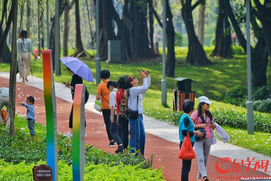 了,今天(5月10日)天公作美不再下雨,太陽公公還露臉了,在天河公園北門