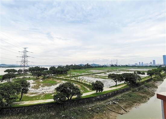 升级改造后的洪圣沙岛和大吉沙岛