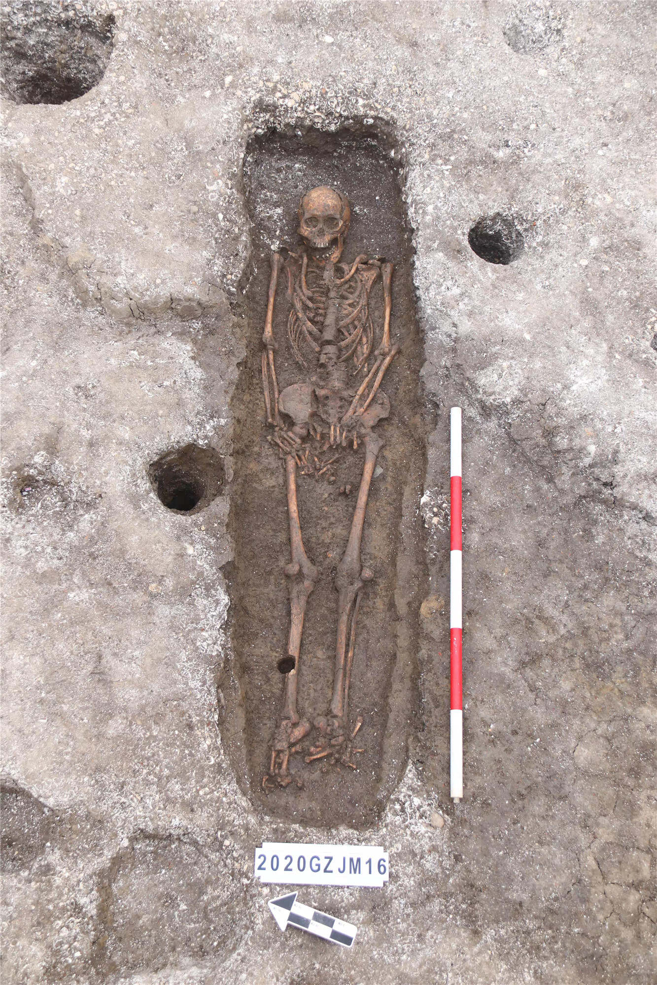 广州金兰寺遗址出土古人类遗骸增至34具