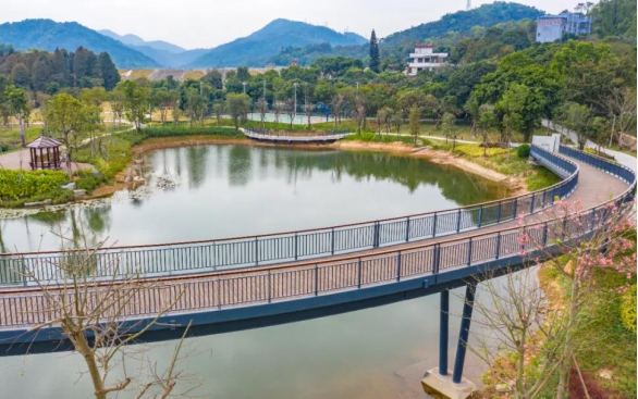 中山徒步绿道-金钟湖公园