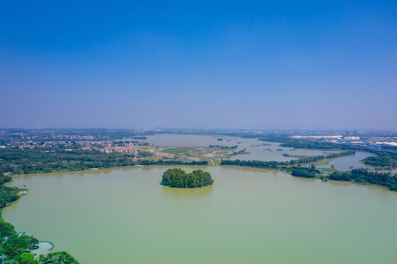 三水湿地公园图片