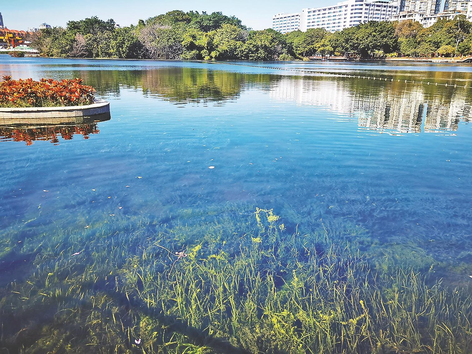 广州流花湖公园湖景换新颜