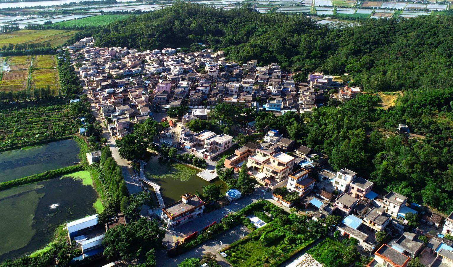 蝦山村是珠海市斗門區白蕉鎮蝦山腳下的一個村落,已有200多年曆史.