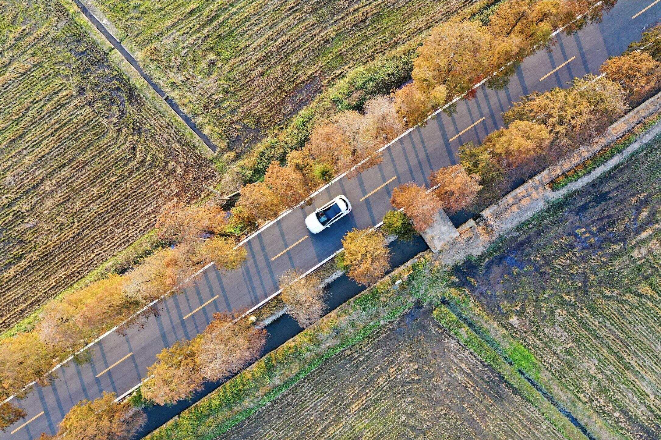 珠海斗门跟随镜头发现上洲村的美