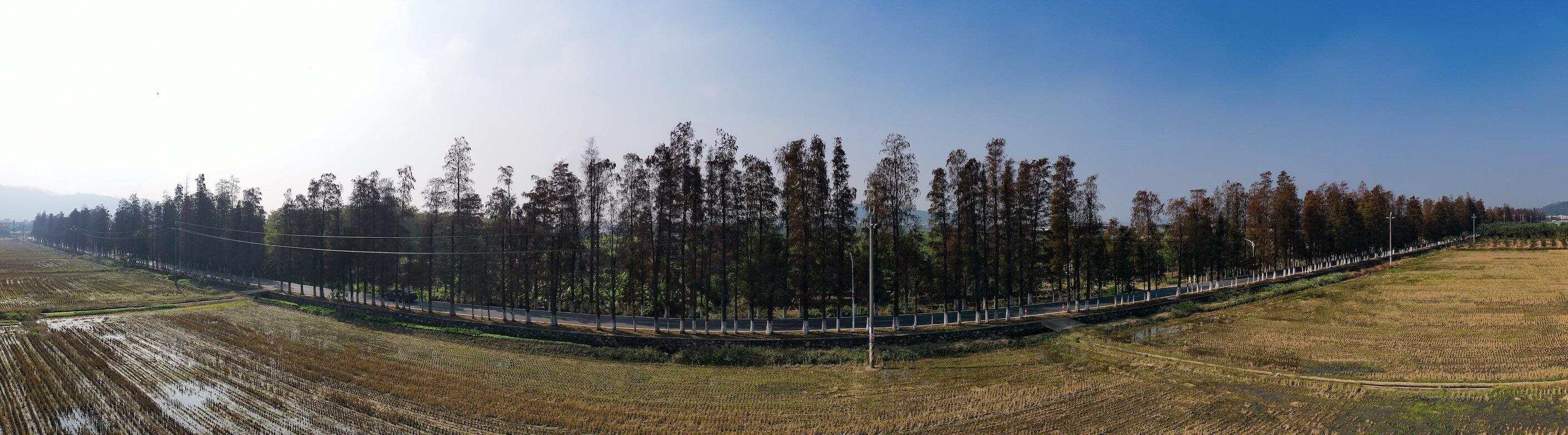 珠海斗门跟随镜头发现上洲村的美