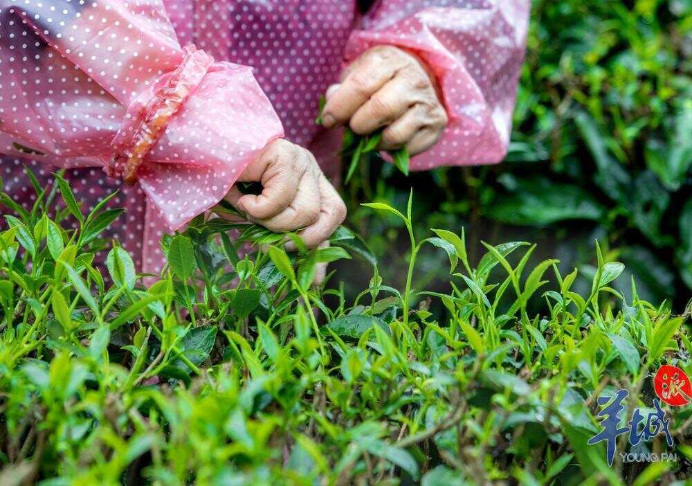 09e16ccc36d999e6a7d710d1448acdd.jpg 09e16ccc36d999e6a7d710d1448acdd.jpg