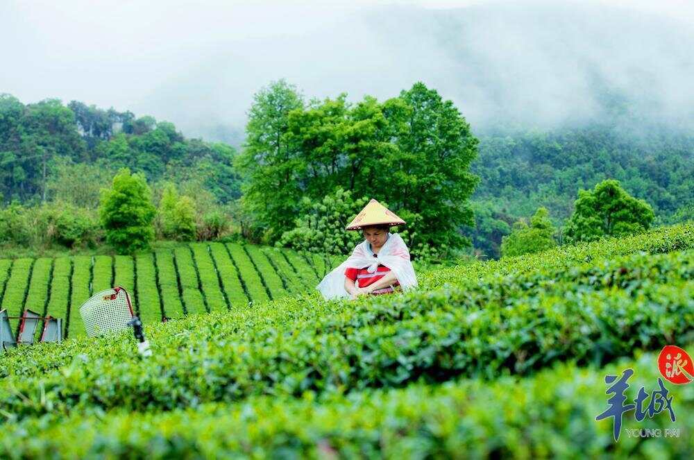 8ef8f0f80781674330b40226a1da4f9.jpg 8ef8f0f80781674330b40226a1da4f9.jpg