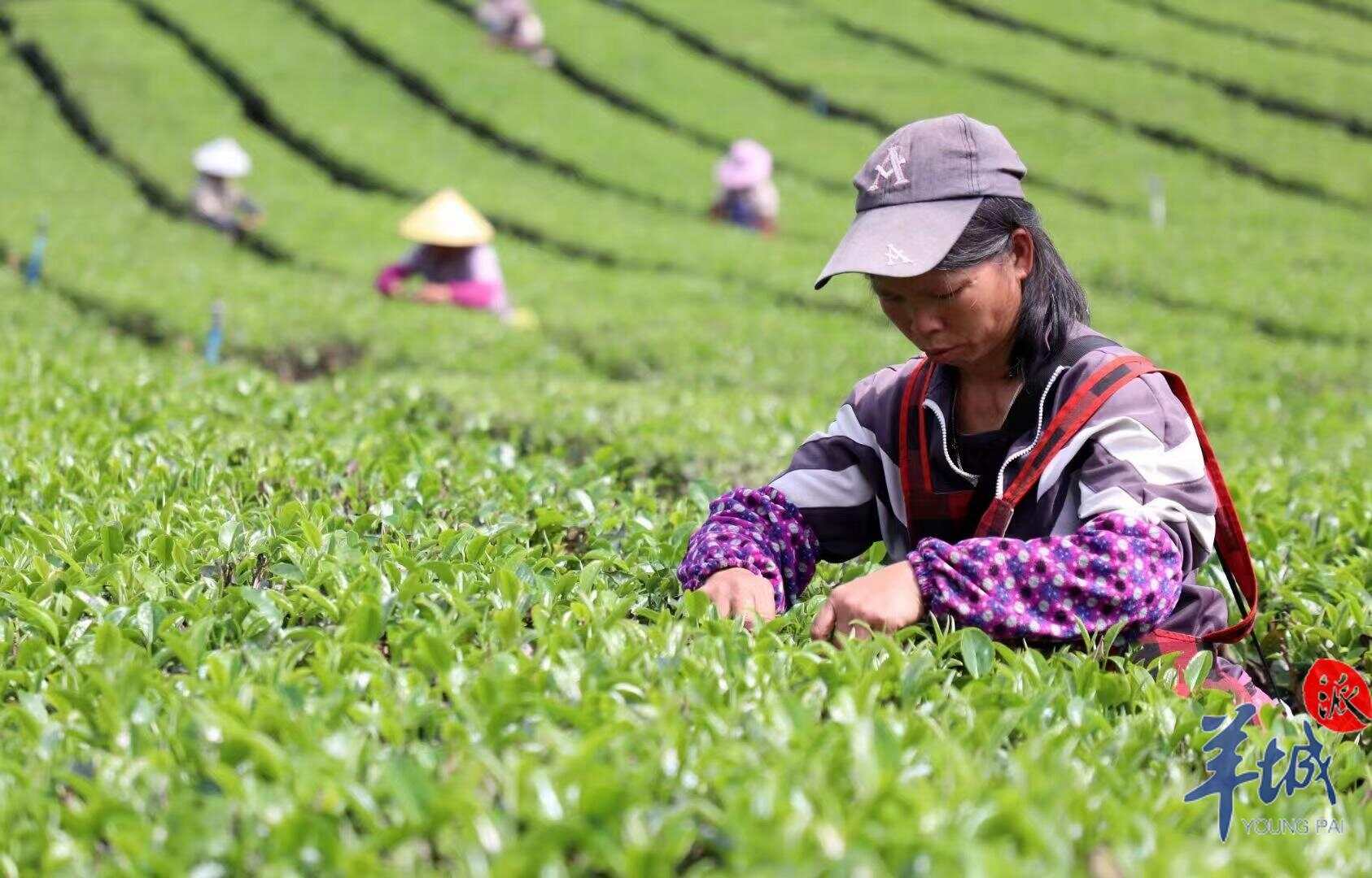 5a60ba586f0f29c0d850d091e9141c9.jpg 5a60ba586f0f29c0d850d091e9141c9.jpg