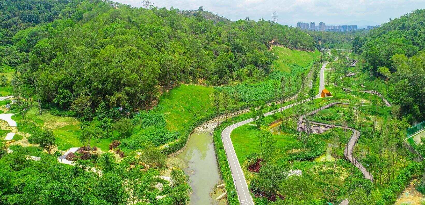 深圳龙岗醉美碧道等你来打卡