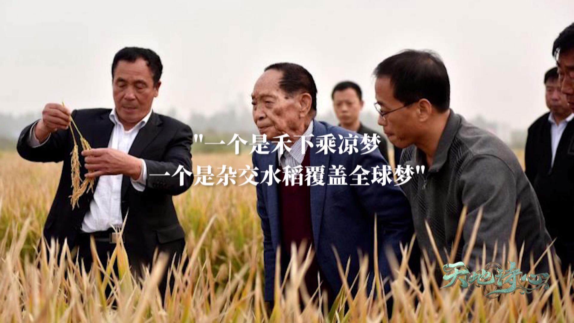 图片8.jpg