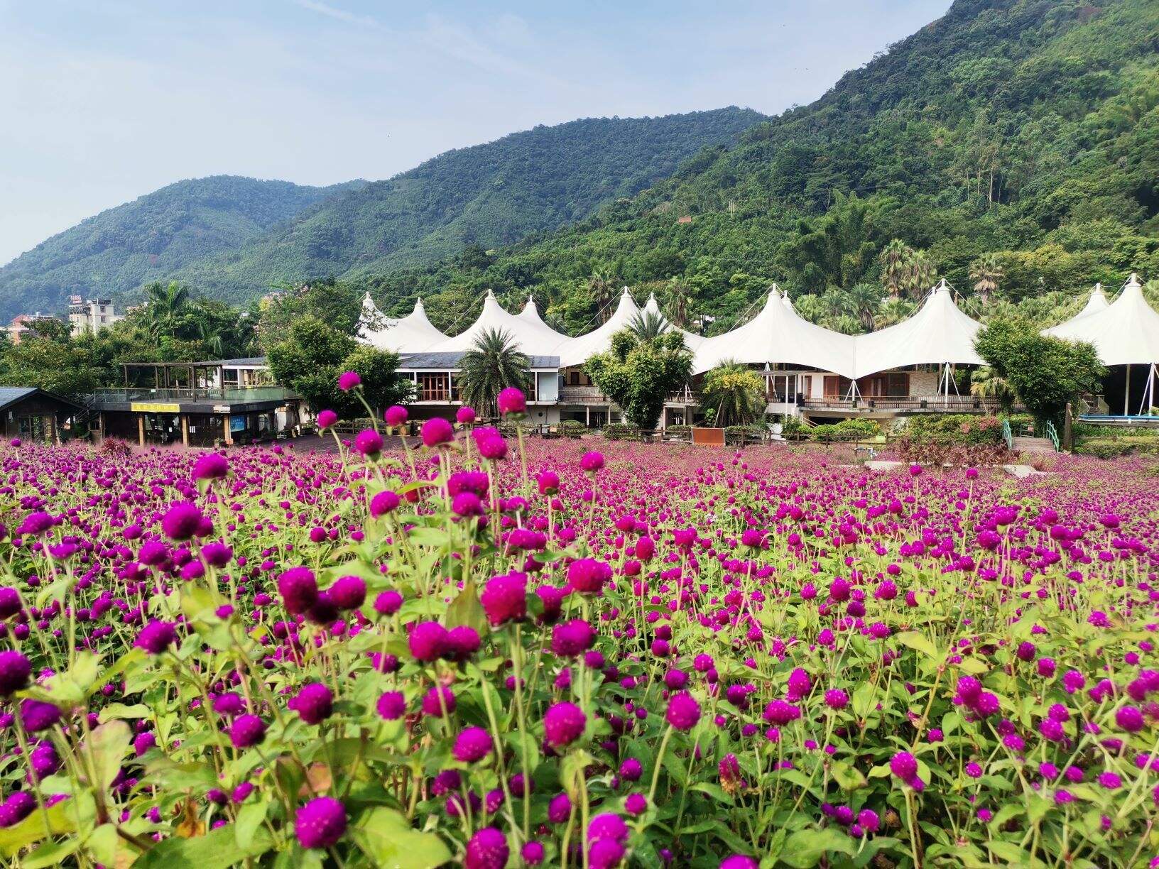 广东德庆盘龙峡景区图片