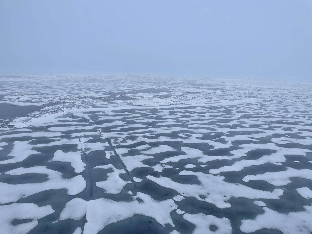 海冰2.jpg