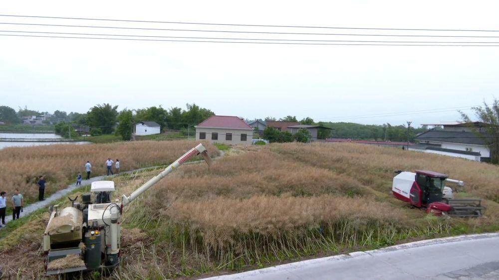 新华视点｜土地生金：乡村经济增长新引擎