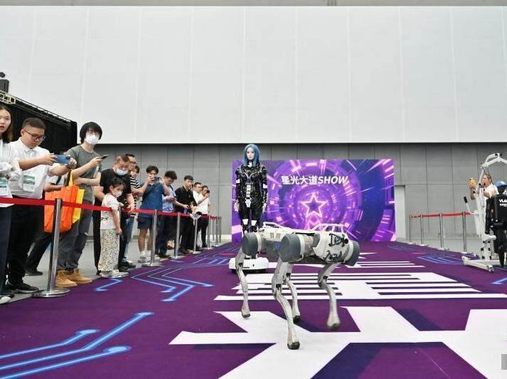 广州：2025国际智能机器人展览会吸引参观者