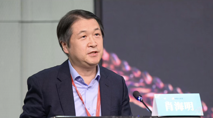 粤博馆长肖海明讲述：古代广东海外贸易买卖什么？