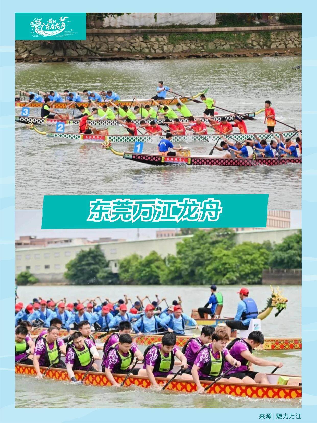 东莞万江.jpg