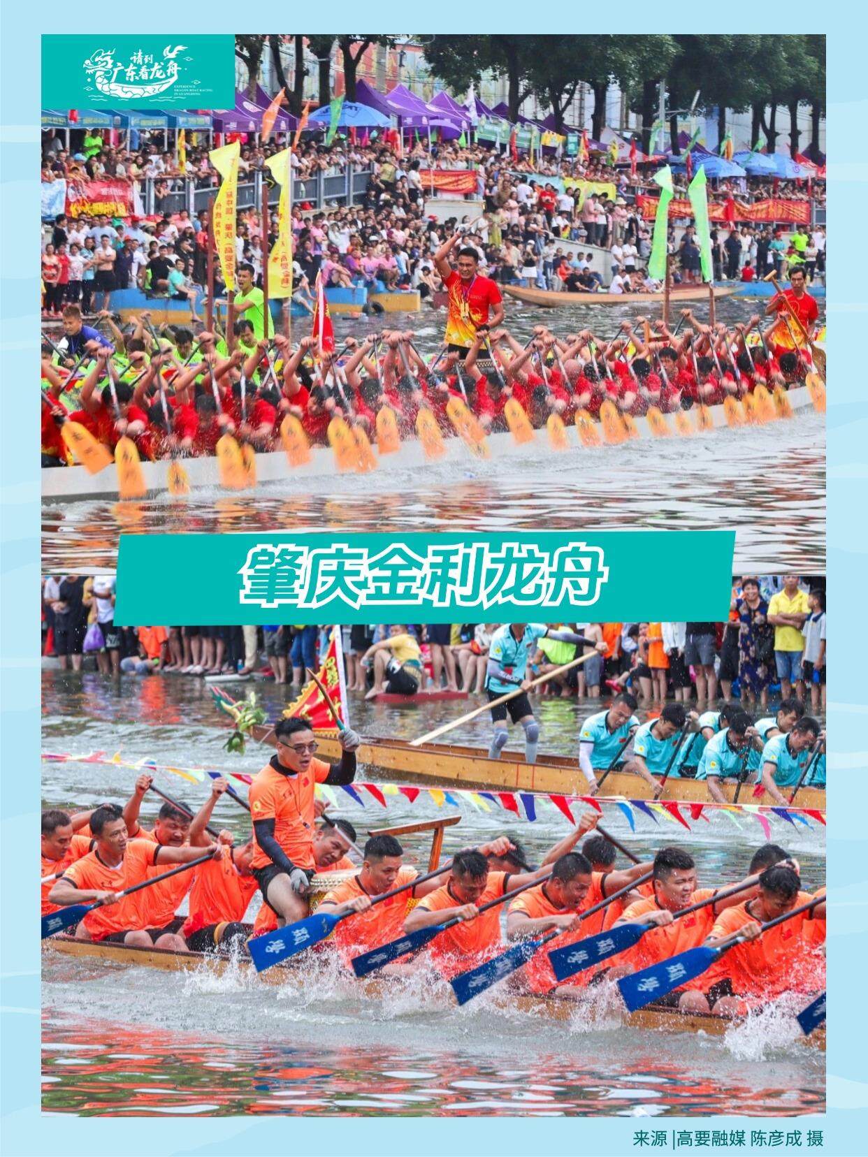 肇庆金利.jpg