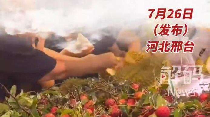顾客将榴莲强行打开“试吃”?律师:可能涉嫌侵占他人财物!